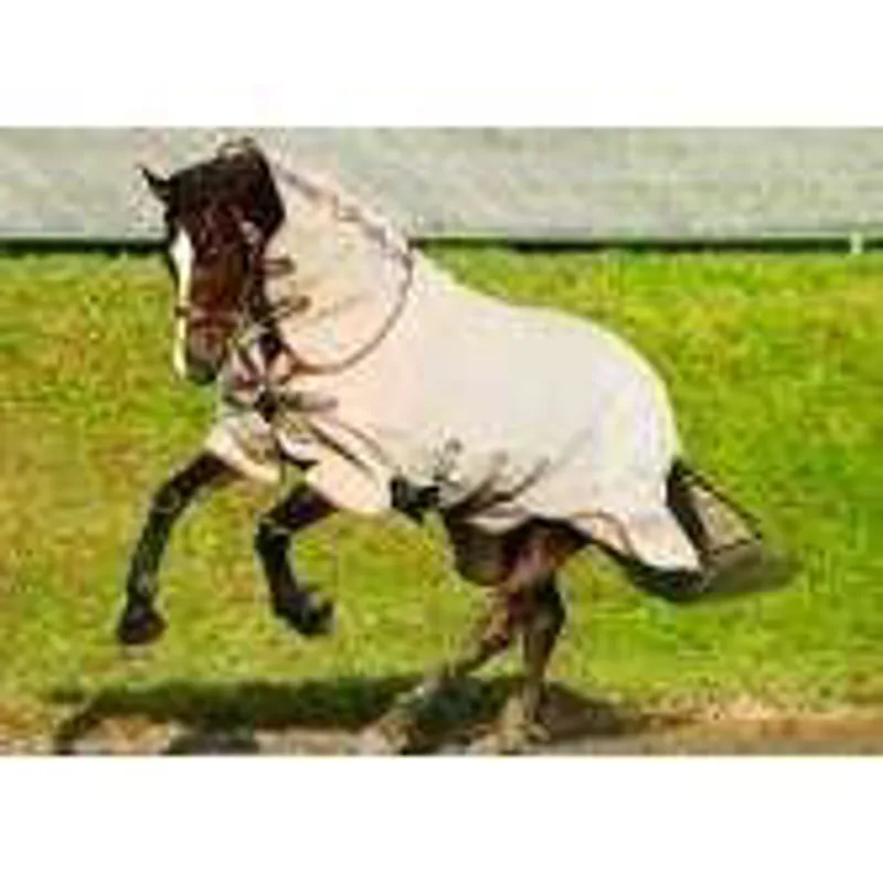 Horseware Rambo Protector